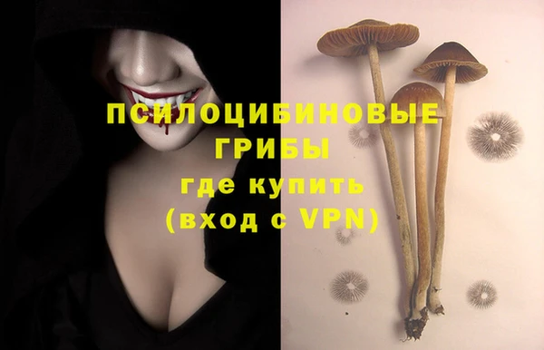 спайс Лабытнанги