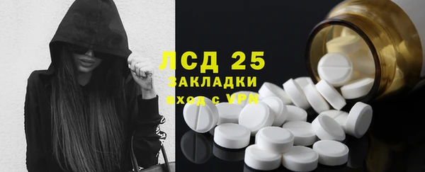 гашик Ладушкин