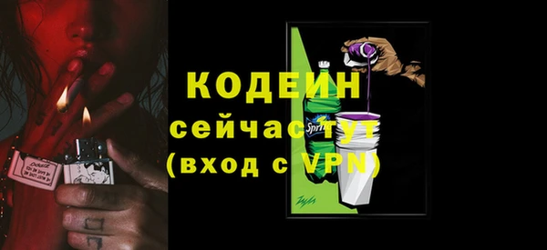 гашик Ладушкин