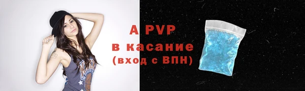 гашик Ладушкин