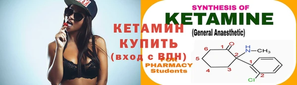 гашик Ладушкин