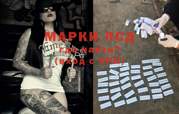 гашик Ладушкин