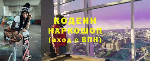 гашик Ладушкин