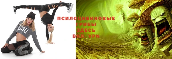 спайс Лабытнанги