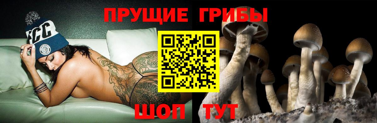 Псилоцибиновые грибы Psilocybe  Галлюциногенные грибы Psilocybine cubensis  Нижний Тагил  Вход с VPN 